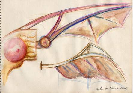 Pic d'Anie : aile de l'anie - croquis (crayons de couleurs) - 2003
