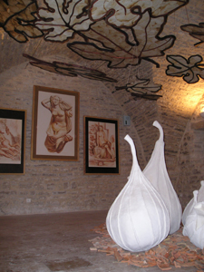 Voyage sous le figuier, installation expose  Vznobres en 2007